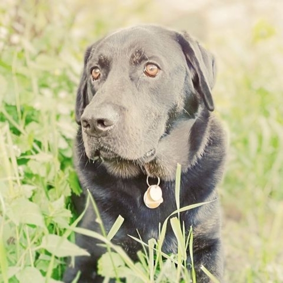 Meet your Posher, Austin - Picture 1 of 1